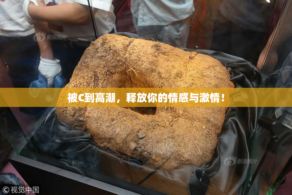 被C到高潮，释放你的情感与激情！