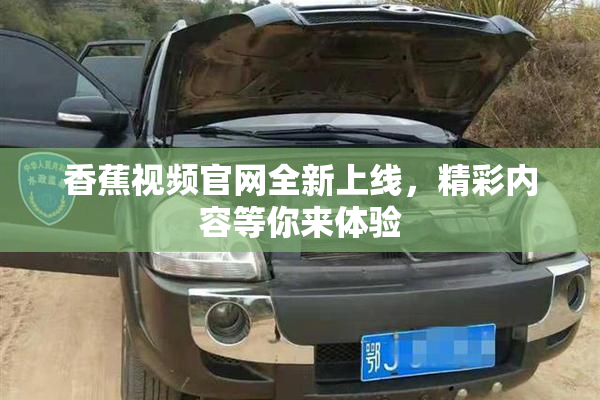 香蕉视频官网全新上线，精彩内容等你来体验
