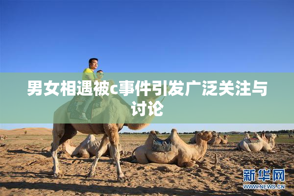 男女相遇被c事件引发广泛关注与讨论