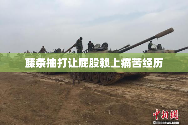 藤条抽打让屁股赖上痛苦经历