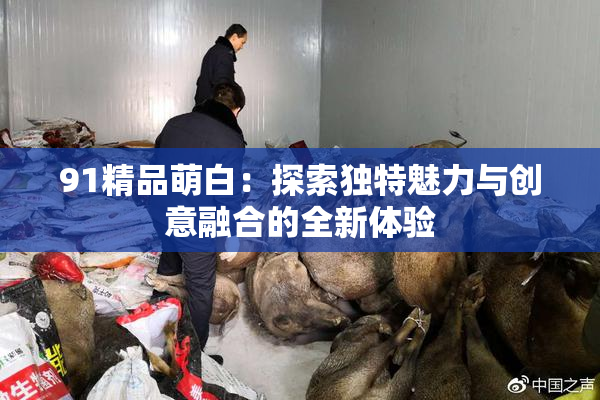 91精品萌白：探索独特魅力与创意融合的全新体验