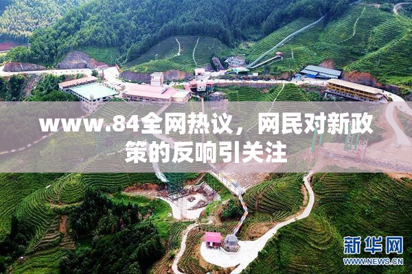 www.84全网热议，网民对新政策的反响引关注