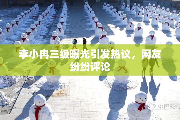 李小冉三级曝光引发热议，网友纷纷评论