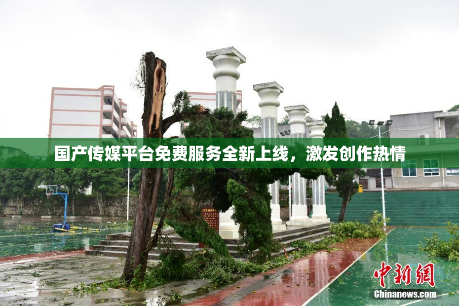 国产传媒平台免费服务全新上线，激发创作热情