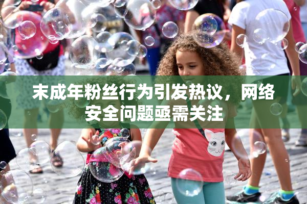 末成年粉丝行为引发热议，网络安全问题亟需关注