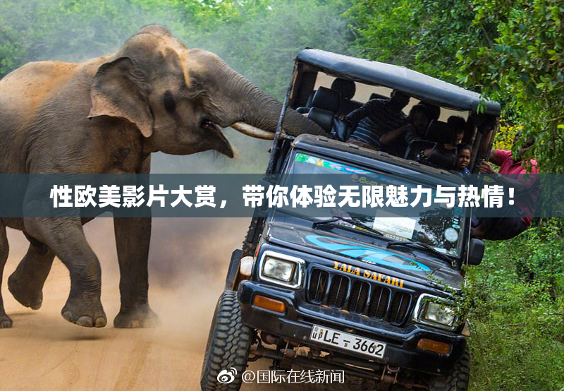 性欧美影片大赏，带你体验无限魅力与热情！