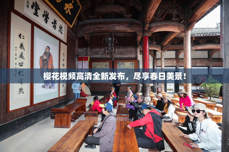 樱花视频高清全新发布，尽享春日美景！