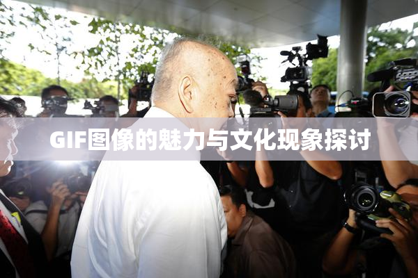 GIF图像的魅力与文化现象探讨