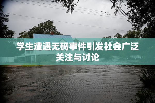 学生遭遇无码事件引发社会广泛关注与讨论