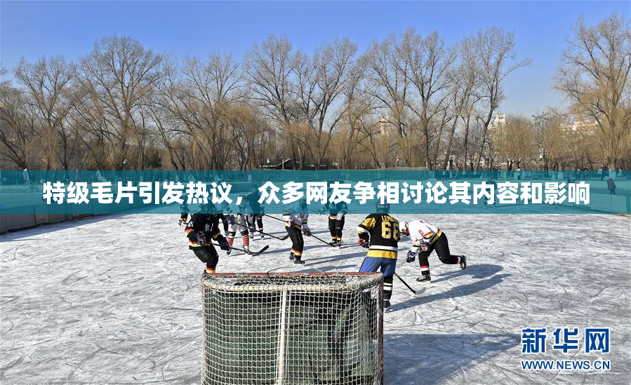 特级毛片引发热议，众多网友争相讨论其内容和影响