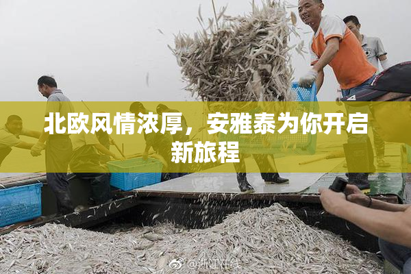 北欧风情浓厚，安雅泰为你开启新旅程