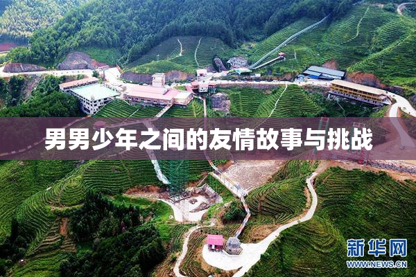 男男少年之间的友情故事与挑战