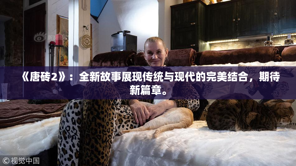 《唐砖2》：全新故事展现传统与现代的完美结合，期待新篇章。