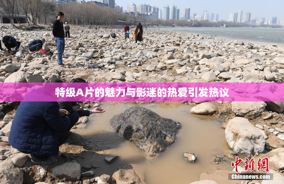 特级A片的魅力与影迷的热爱引发热议