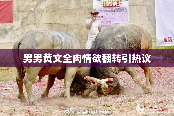 男男黄文全肉情欲翻转引热议