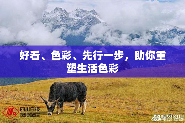 好看、色彩、先行一步，助你重塑生活色彩