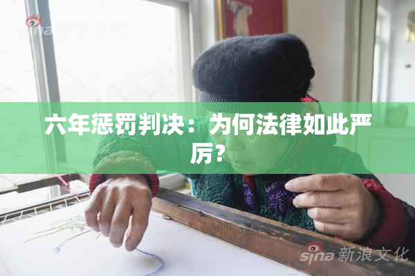 六年惩罚判决：为何法律如此严厉？
