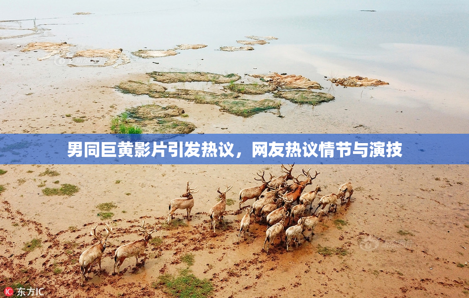 男同巨黄影片引发热议，网友热议情节与演技