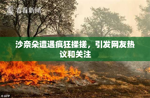 沙奈朵遭遇疯狂揉搓，引发网友热议和关注