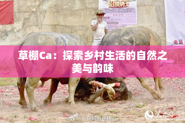 草棚Ca：探索乡村生活的自然之美与韵味