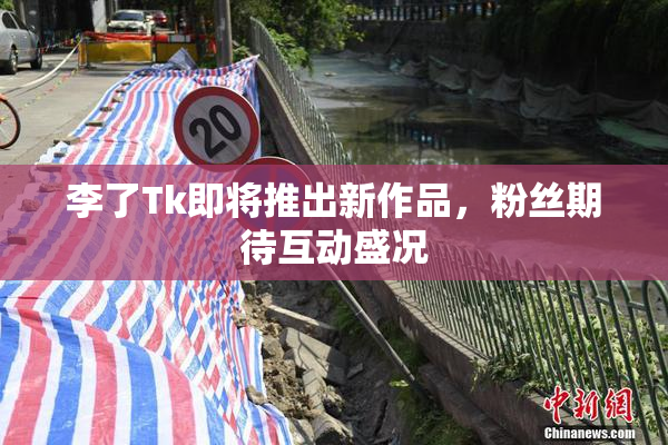 李了Tk即将推出新作品，粉丝期待互动盛况