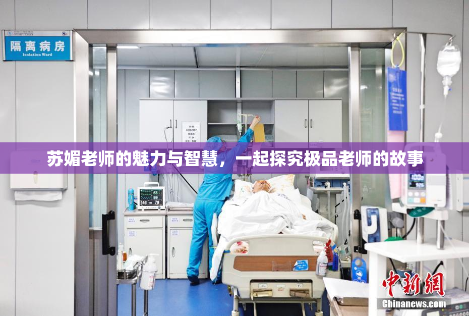 苏媚老师的魅力与智慧，一起探究极品老师的故事