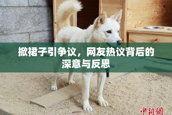 掀裙子引争议，网友热议背后的深意与反思