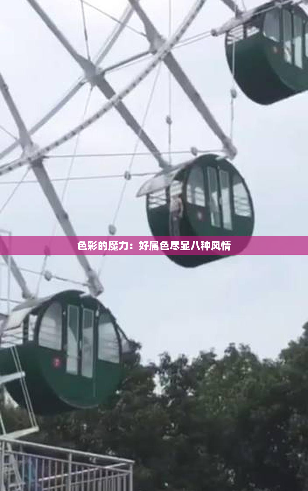 色彩的魔力：好属色尽显八种风情