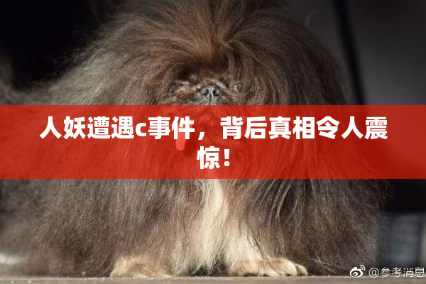 人妖遭遇c事件，背后真相令人震惊！