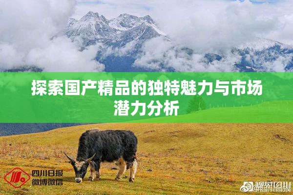 探索国产精品的独特魅力与市场潜力分析