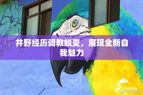 井野经历调教蜕变，展现全新自我魅力