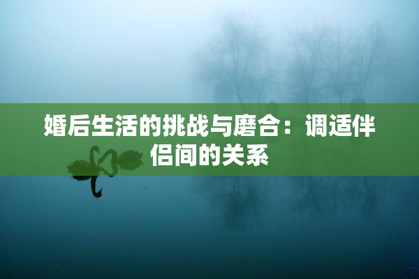 婚后生活的挑战与磨合：调适伴侣间的关系