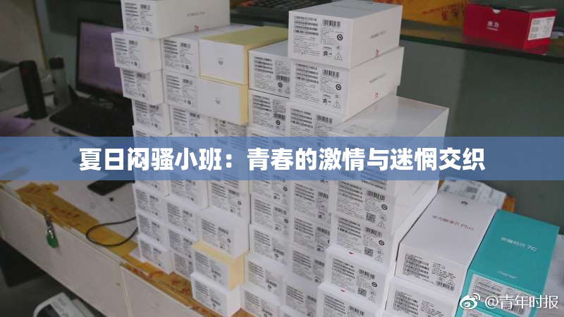 夏日闷骚小班：青春的激情与迷惘交织