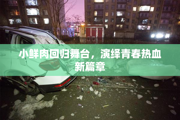 小鲜肉回归舞台，演绎青春热血新篇章
