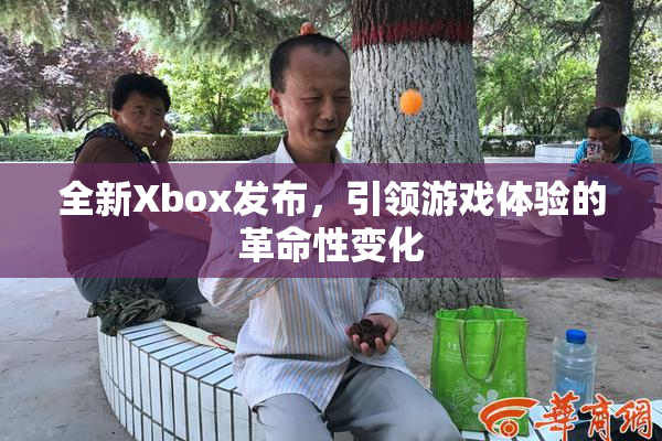 全新Xbox发布，引领游戏体验的革命性变化