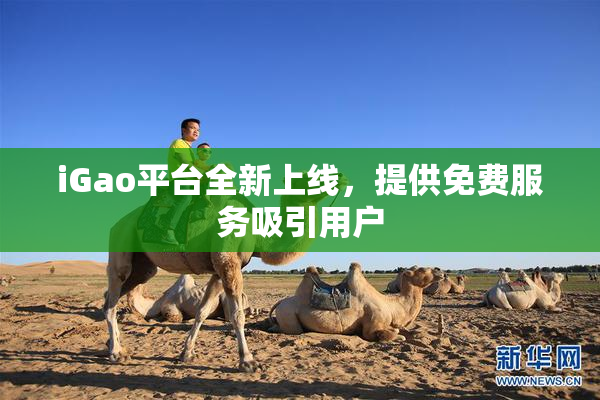 iGao平台全新上线，提供免费服务吸引用户