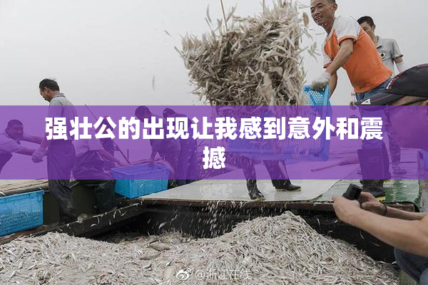强壮公的出现让我感到意外和震撼