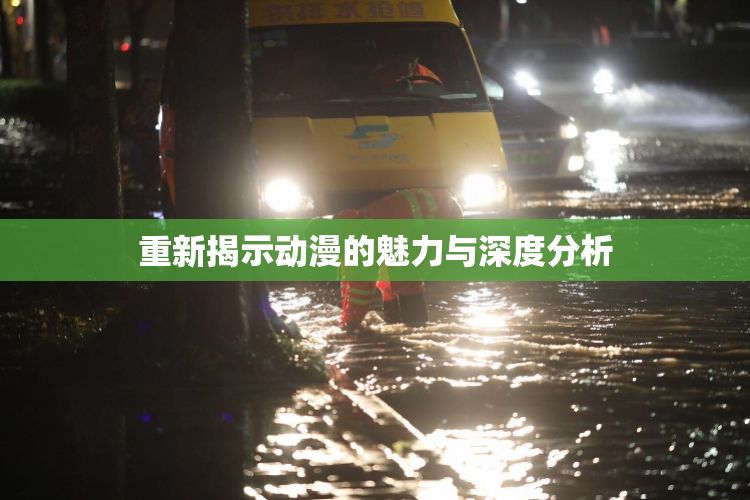 重新揭示动漫的魅力与深度分析