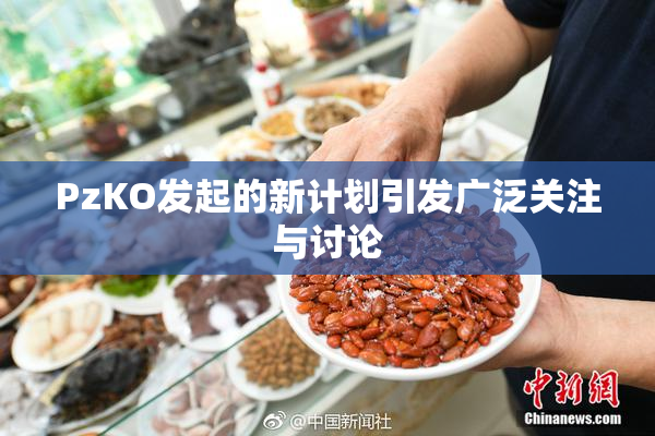 PzKO发起的新计划引发广泛关注与讨论