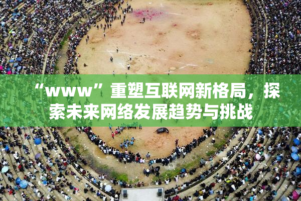 “www”重塑互联网新格局，探索未来网络发展趋势与挑战