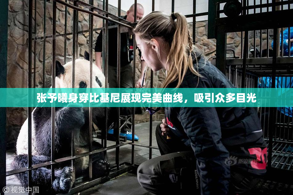 张予曦身穿比基尼展现完美曲线，吸引众多目光