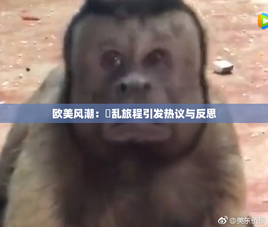 欧美风潮：婬乱旅程引发热议与反思