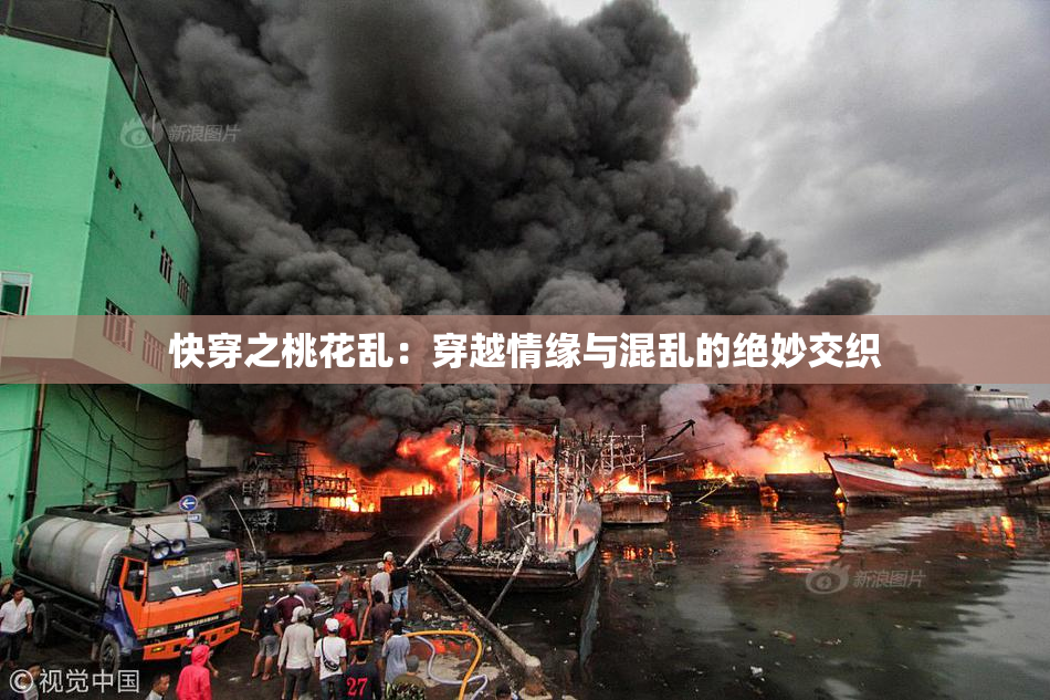 快穿之桃花乱：穿越情缘与混乱的绝妙交织
