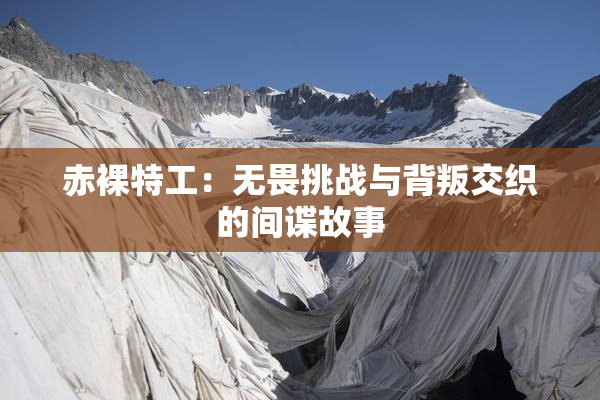 赤裸特工：无畏挑战与背叛交织的间谍故事