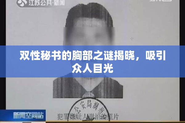 双性秘书的胸部之谜揭晓，吸引众人目光
