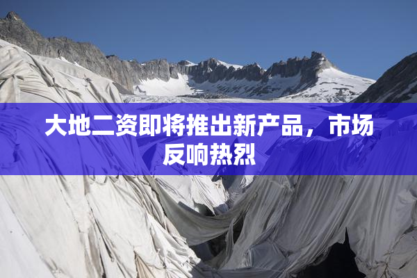 大地二资即将推出新产品，市场反响热烈