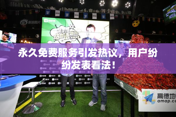 永久免费服务引发热议，用户纷纷发表看法！