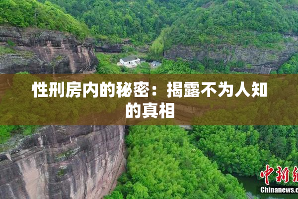 性刑房内的秘密：揭露不为人知的真相