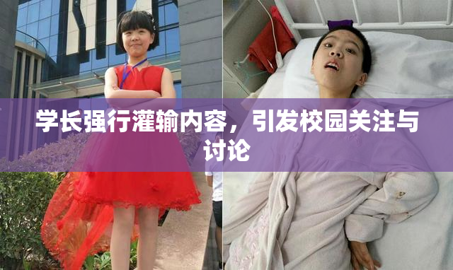 学长强行灌输内容，引发校园关注与讨论