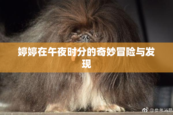 婷婷在午夜时分的奇妙冒险与发现